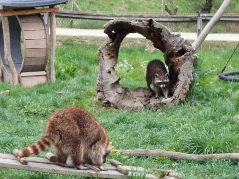 Besuch im Tierpark 2025